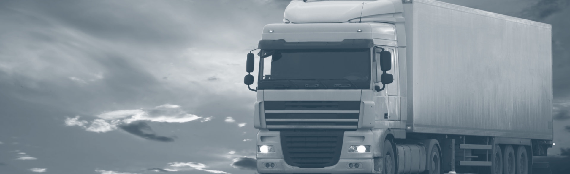 r services fleet management